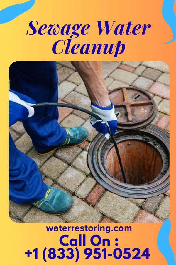Sewage Water Cleanup in Koppel, PA